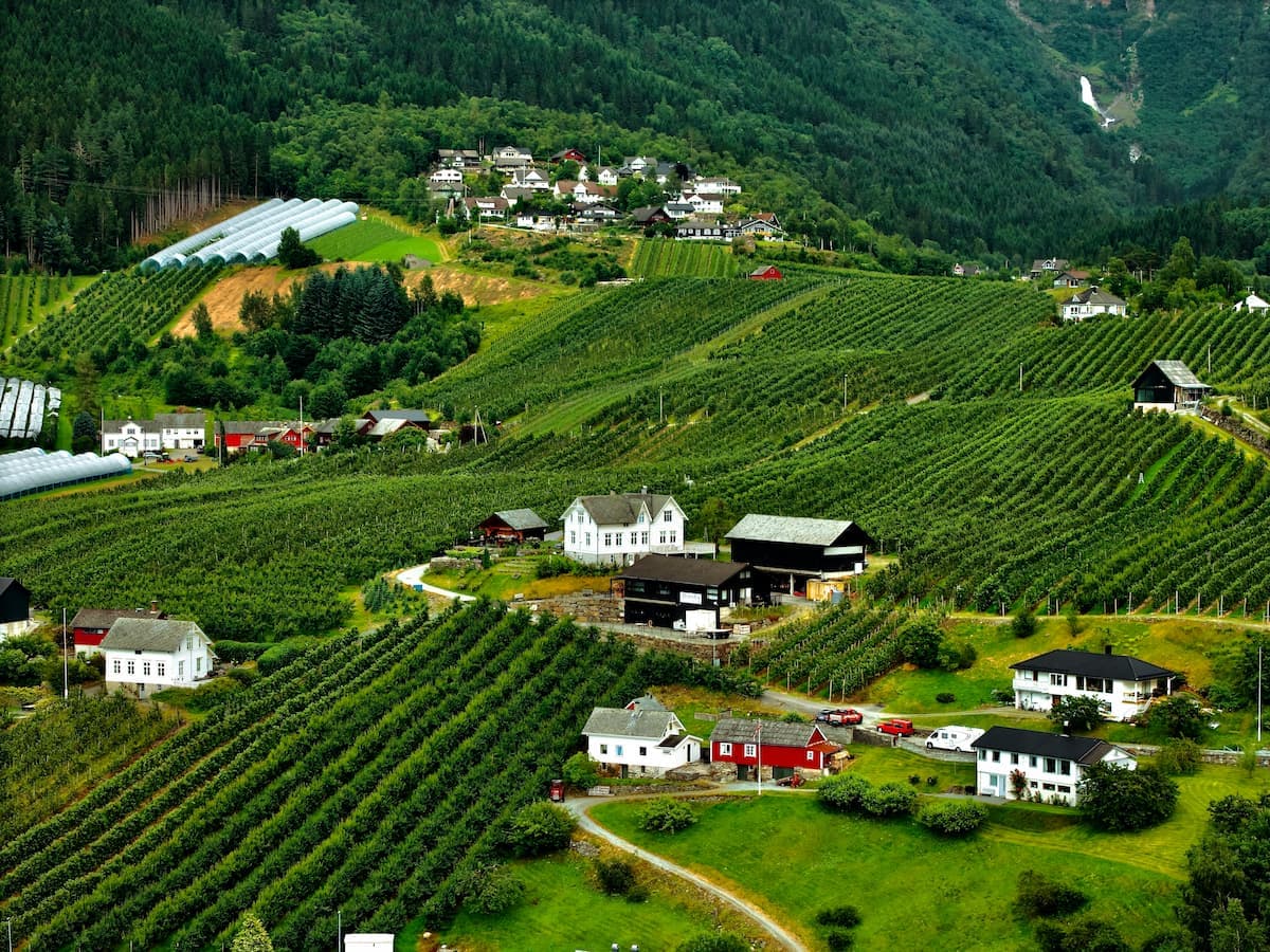 Vineyards and small houses nestled on steep green hillsides in the Styria wine region.